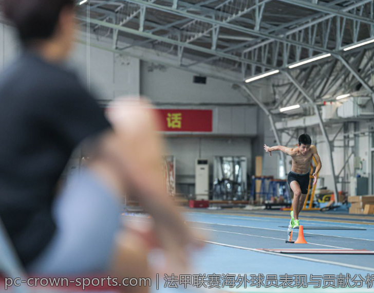 法甲联赛海外球员表现与贡献分析